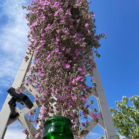 マルティナ・フランカ I Trulli Dei Nonni Evelinヴィラ エクステリア 写真
