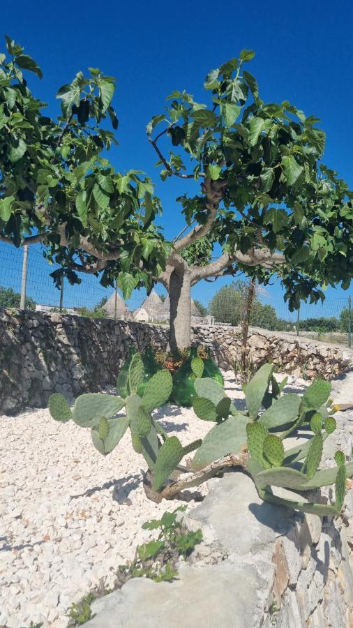 マルティナ・フランカ I Trulli Dei Nonni Evelinヴィラ エクステリア 写真